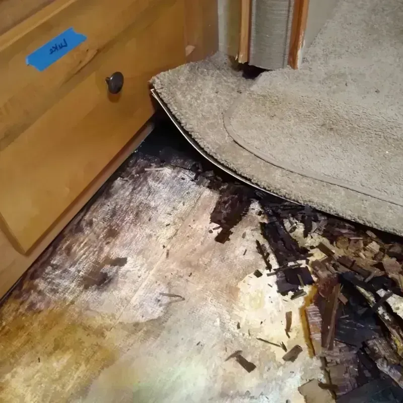 Wood Floor Water Damage in Woodfield, SC